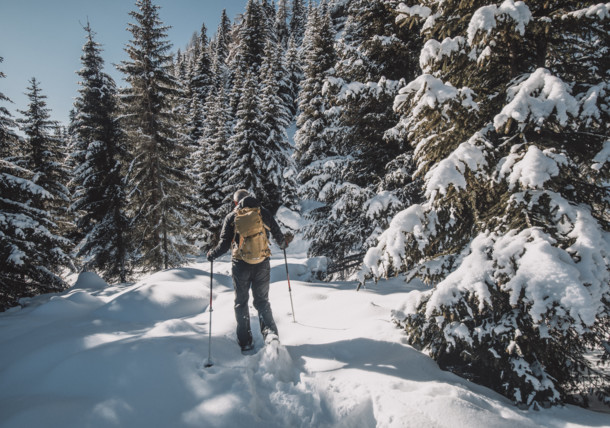     Snowshoe hike with a national park ranger (Hohe Tauern National Park) 